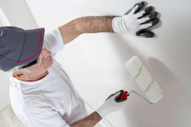 Best Mold Remediation for Rental Properties  in Seward, AK