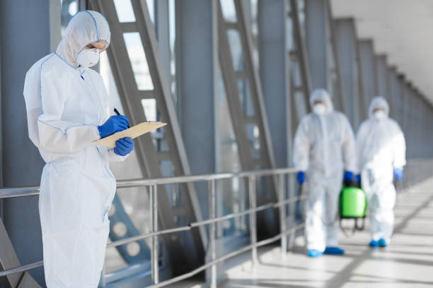 Best Mold Removal for HVAC Installations  in Seward, AK