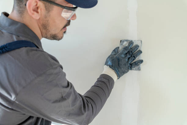 Best Attic Mold Removal  in Seward, AK