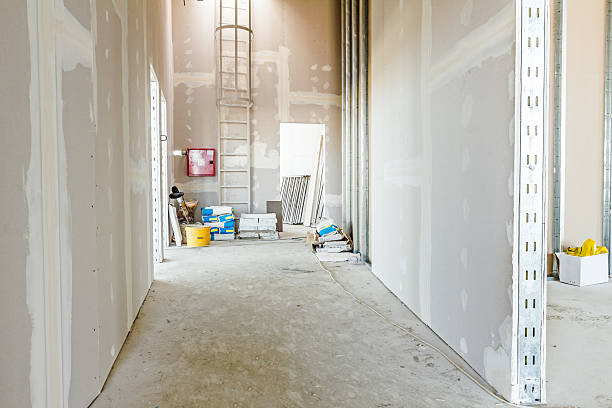 Best Mold Remediation for Healthcare Facilities  in Seward, AK
