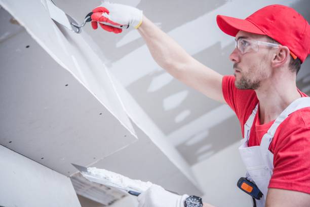 Best Emergency Mold Remediation  in Seward, AK